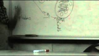 Dr.Sahar - Bacterial Infection 3 - Pathology