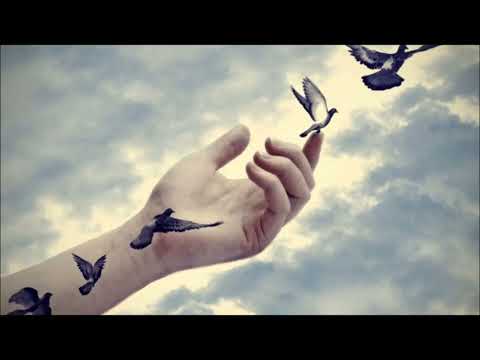 SALSA SOLO EXITOS DE HOY Y AYER