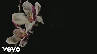 Cyrus - Don't Let Me Know (Lyric Video)