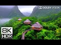 Experience 8K Video Like NEVER BEFORE In Ultra HD Dolby Vision HDR 60fps