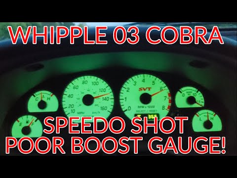 03 SVT COBRA - Whipple 2.9L Crusher Speedo Shots
