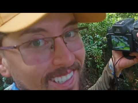 CONOCI LA CASCADA MAS ALTA DE DE ANTIOQUIA CON 550 METROS DE ALTURA 💦