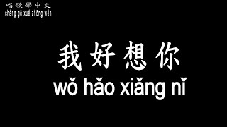 【唱歌學中文】►蘇打綠 / 我好想你◀ ►Sodagreen / I miss you so much ◀『我好想你 卻不露痕跡』【動態歌詞中文、拼音Lyrics】