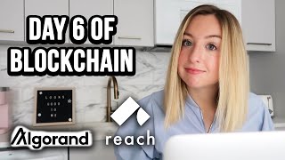 Day 6 of Blockchain | Adding Testing and Automatic Verifications to a Decentralized Application