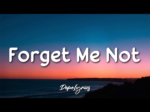 WizG feat. Jantine - Forget Me Not (Lyrics) ðµ