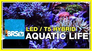 A deeper look into the Aquatic Life T5/LED Hybrid fixture | BRStv Investigates