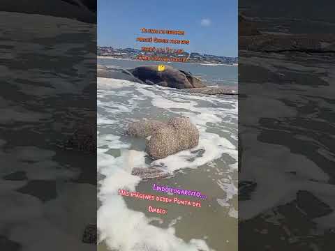 Punta del Diablo Rocha