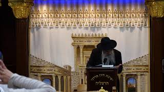 הרב מאיר דוד שמואלי שליט"א - שידור חי יום ב' - פרשת נשא תשפ"ו