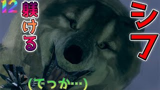 死にゲー苦手の男が挑むダークソウル/灰色の大狼シフ撃破＃１２
