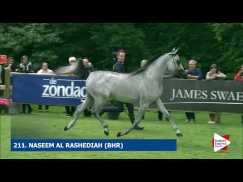 Bruges 2016 - Class 110