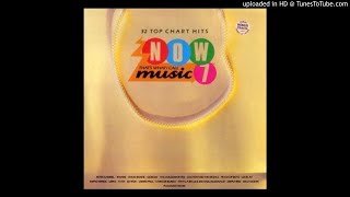 Camouflage by Stan Ridgway