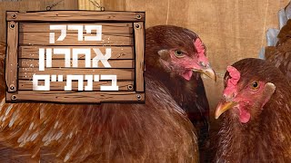 מתחילים עונה אצל הזברה פינקים - פרק אחרון לתקופה