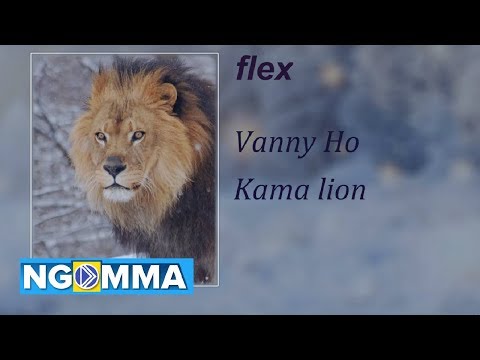 Vanny Ho -  flex ( official audio  ) ( kama lion )