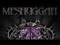 MESHUGGAH - ELASTIC