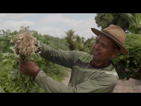 SERGIPE RURAL - PROGRAM 24 - 2nd season