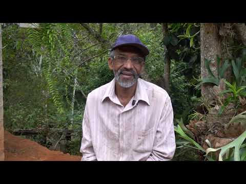 Aparição das Imagens do Sagrado Coração de Jesus e Maria, Limoeiro, Itarana, ES