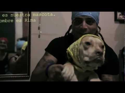 AL2 Ft. Silvito El Libre - Alegría (Video Oficial) 2013