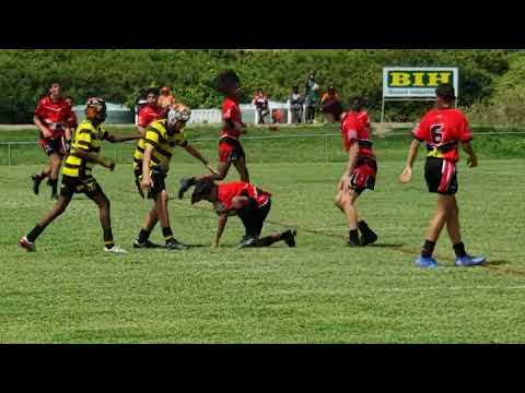 seagulls v's centrals tiger gold u14's