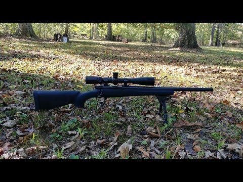 Rare - Smith \u0026 Wesson (Howa) Model 1500 .223 Rifle Review \u0026 Accuracy Test