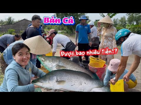 Cha Vợ Cùng Mấy Anh Em Đi Mò Bắt Cá Khủng Và Thành Quả Bán Cá Được Bao Nhiêu Tiền…