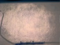 Plongeon Mov