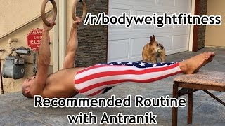 Explanation of the /r/bodyweightfitness Recommended Routine by Antranik
