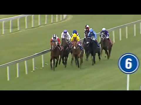 2022 EGOLI MILE Turffontein - Litigation