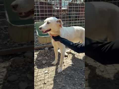 NADIRAH - April 2025