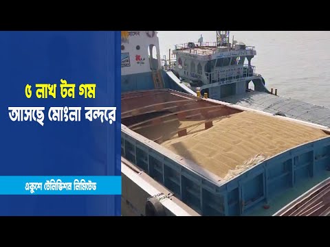 ১০ টি জাহাজে ৫ লাখ টন গম আসছে মোংলা বন্দরে