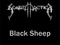 Sonata Arctica - Black Sheep (With Lyrics) 