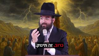 הרב נתנאל סנדרו בוחניק שליט"א - קבלת התורה (הרב נתנאל סנדרו בוחניק) - התמונה מוצגת ישירות מתוך אתר האינטרנט יוטיוב. זכויות היוצרים בתמונה שייכות ליוצרה. קישור קרדיט למקור התוכן נמצא בתוך דף הסרטון