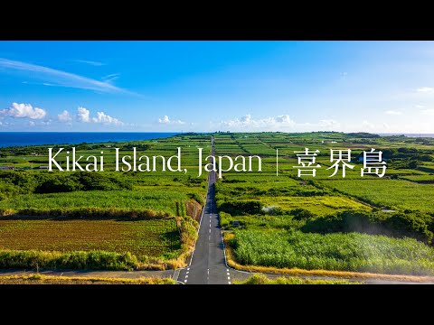 【喜界島】喜びの島 | Island of Smiles [Kikai Island, Japan]
