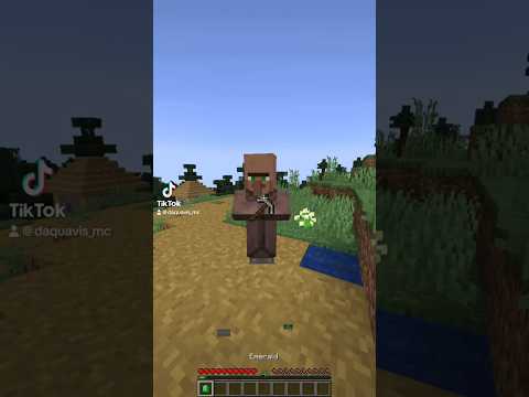 DAQUAVIS◾️ Insane Minecraft Villager Prank!