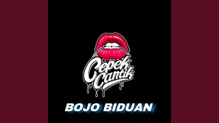 Download lagu Bojo Biduan mp3 Download lagu Bojo Biduan mp3