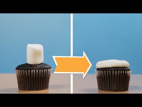Your baking will never be the same! Your baking will never be the same!
