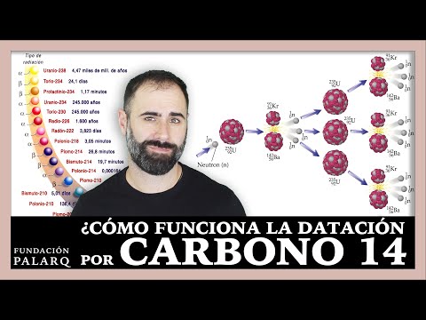 ¿Cómo Funciona la Datación por Carbono 14?