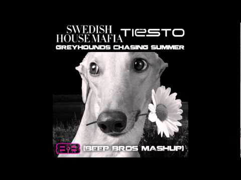 Tiesto vs. Swedish House Mafia - Greyhounds Chasing Summer (Beep Bros Mashup) [NEW HQ]
