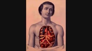 C.W. Stoneking ~ The LOVE ME OR DIE (Lyrics)