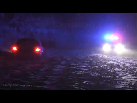 01-30-2021 Chicago, IL - Winter Storm