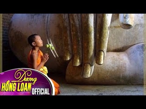 Tỉnh ngộ - Dương Hồng Loan