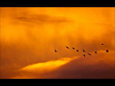 Predica 15 - Mantuirea este personala - fratele Ioan Suciu