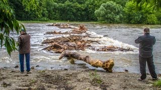 preview picture of video 'Dessau - Hochwasser an der Mulde steigt weiter'