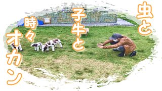 道中いろんなことが起こるもんだな！