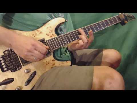 Sylvian   Posthumous Silence   GUITAR Solo Cover