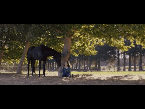 Black Beauty | Official Trailer | Nov. 27