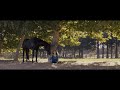 Black Beauty Official Trailer Nov 27