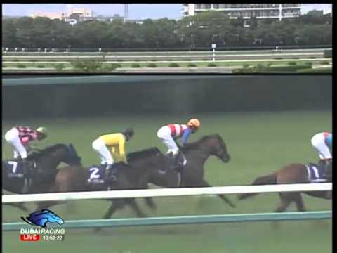 2013.06.23 Takarazuka Kinen - Gold Ship