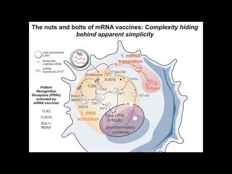 COVID-19 Research Seminar Series | March 5, 2021