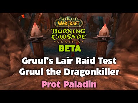 TBC Beta Gruul's Lair Raid Testing - Gruul the Dragonkiller - Prot Paladin