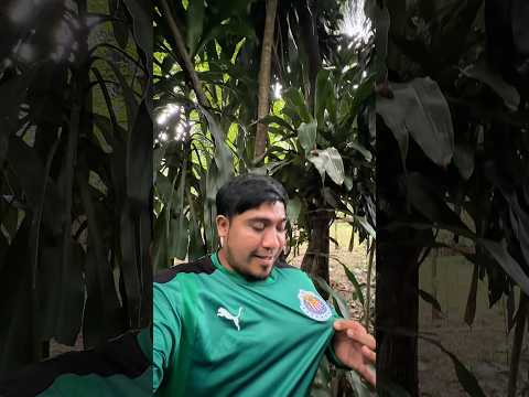 NUEVA CANCHA SINTÉTICA EN SAN RAFAEL PIE DE LA CUESTA SAN MARCOS #canchas